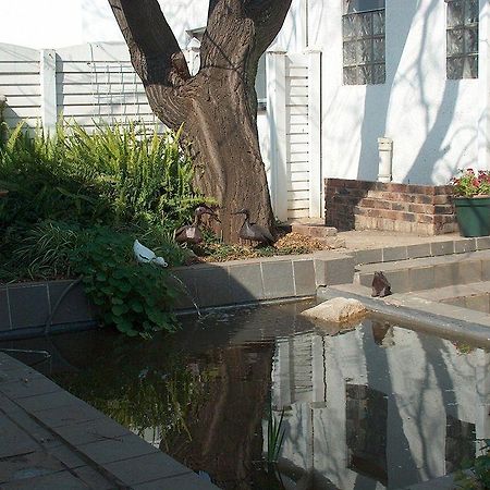Liongate Bed And Breakfast Edenvale Exterior photo